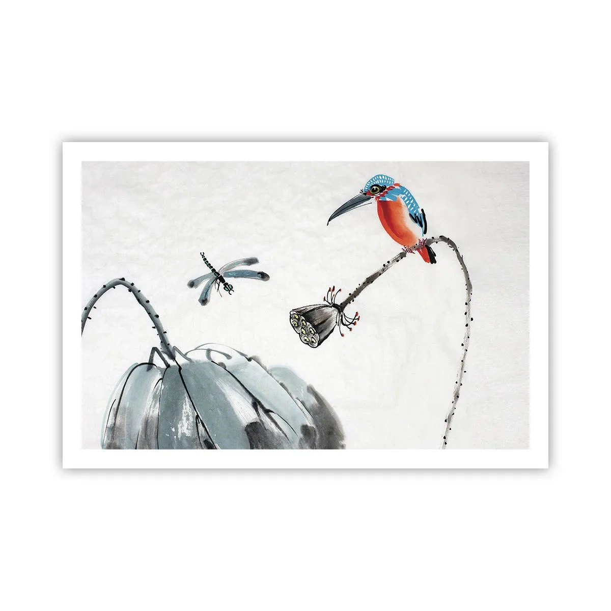 Poszter - A rét élete - 91x61 cm