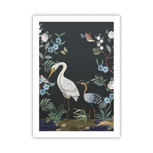 Poszter - Madar parádé - 50x70 cm