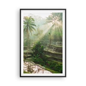 Poszter fehér keretben - Felnőni a napon - 61x91 cm