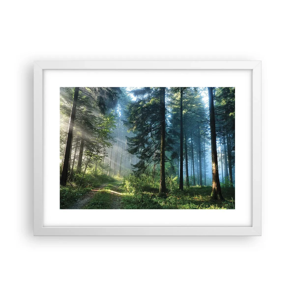 Poszter fekete keretben - Sugárzó reggel - 40x30 cm