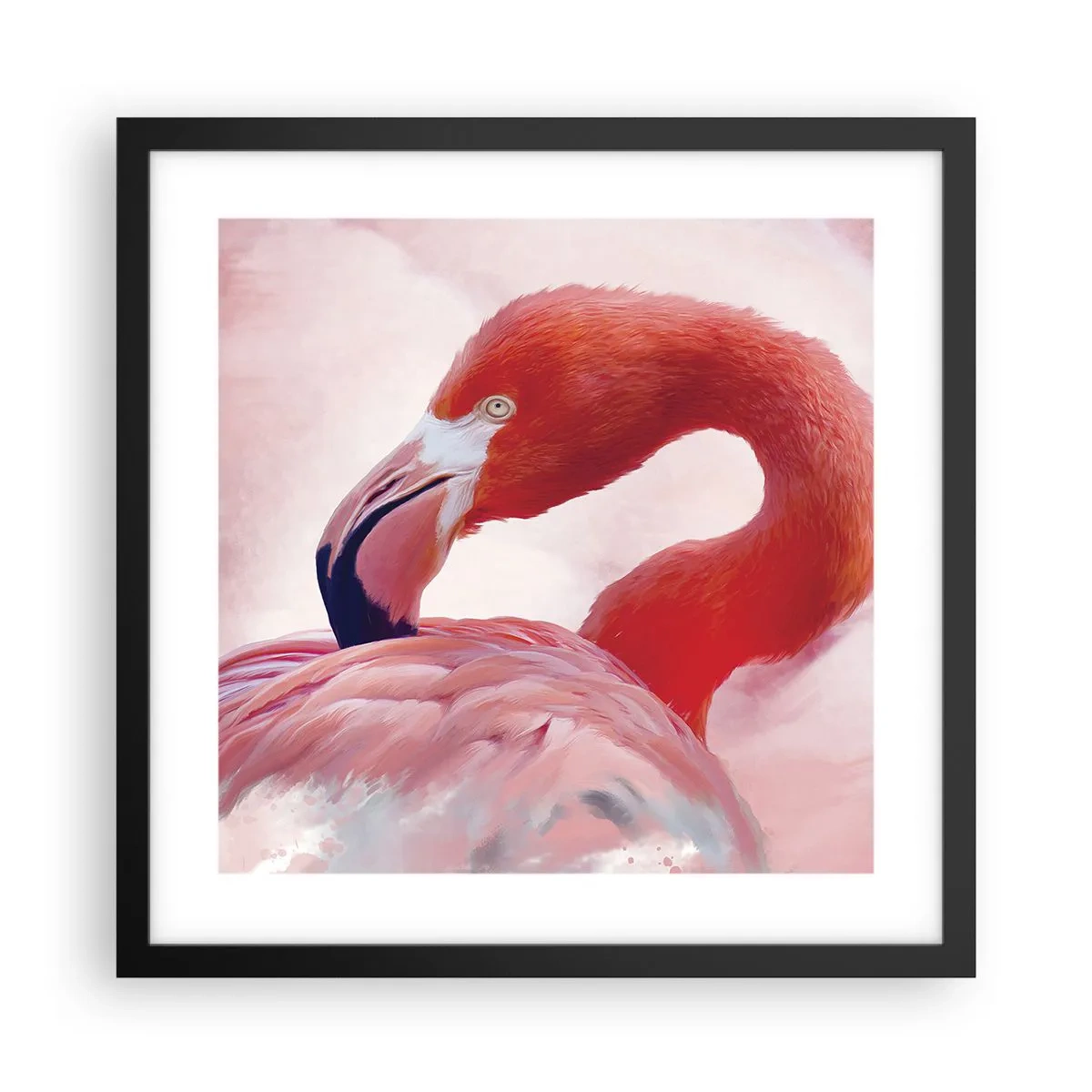 Poszter fehér keretben - Madári szépség - 40x40 cm