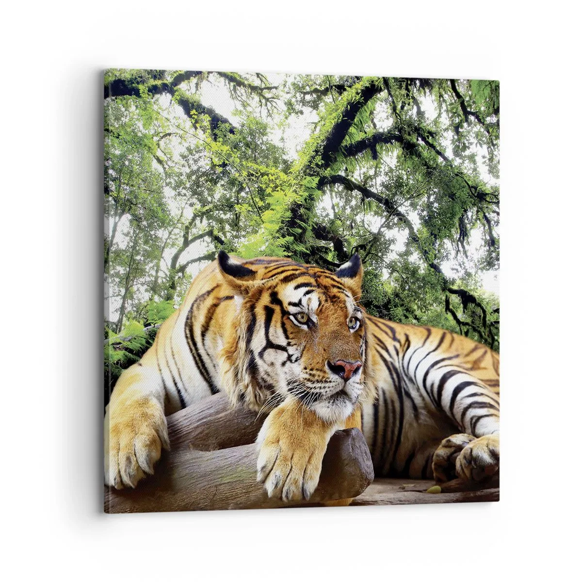 Vászonkép - Tisztelettel - 70x70 cm