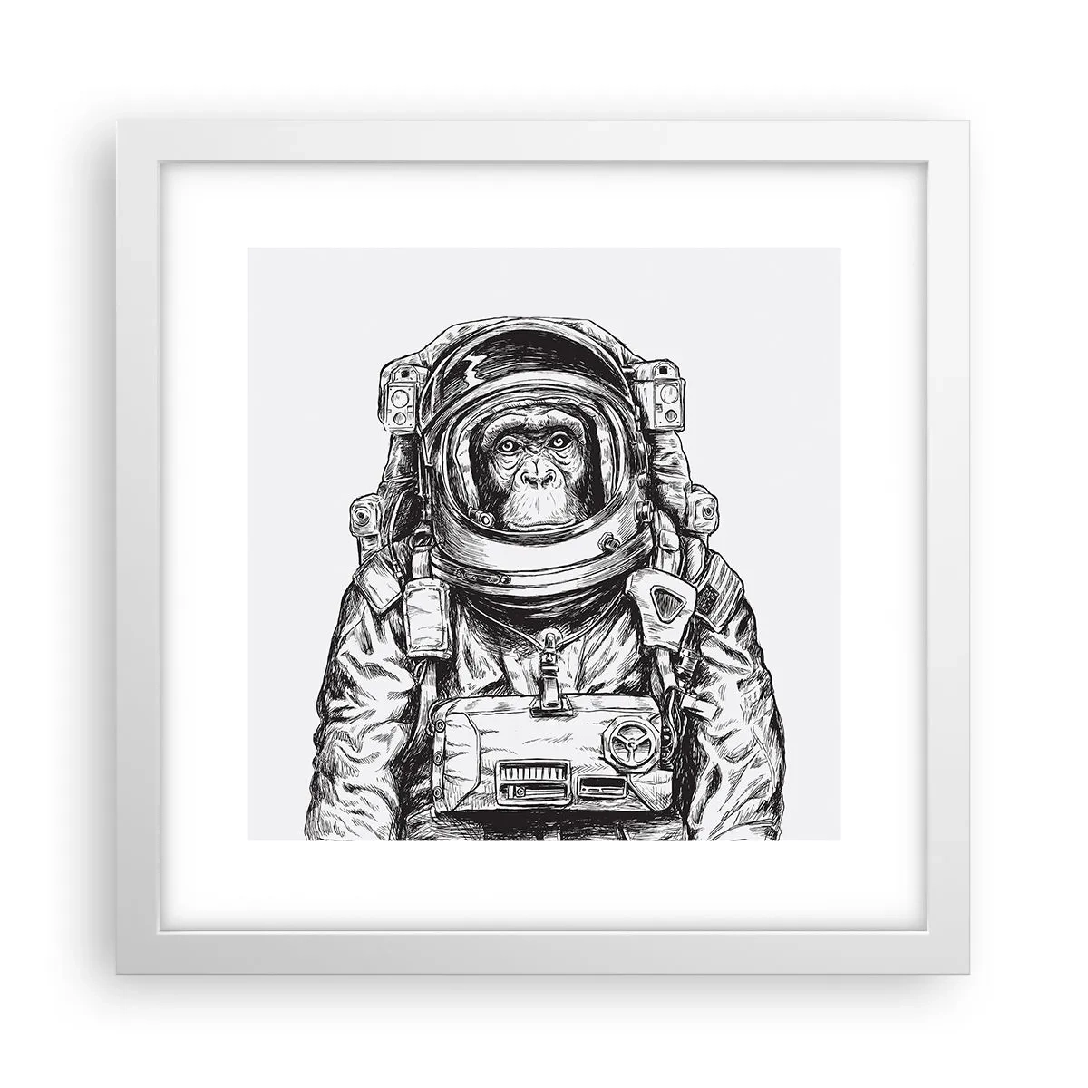 Poszter fekete keretben - Alternatív evolúció - 30x30 cm