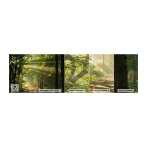 Fotótapéta Minta Premium Canvas - Erdei pillanat - Tájkép, Erdő, Természet - 100x30 cm