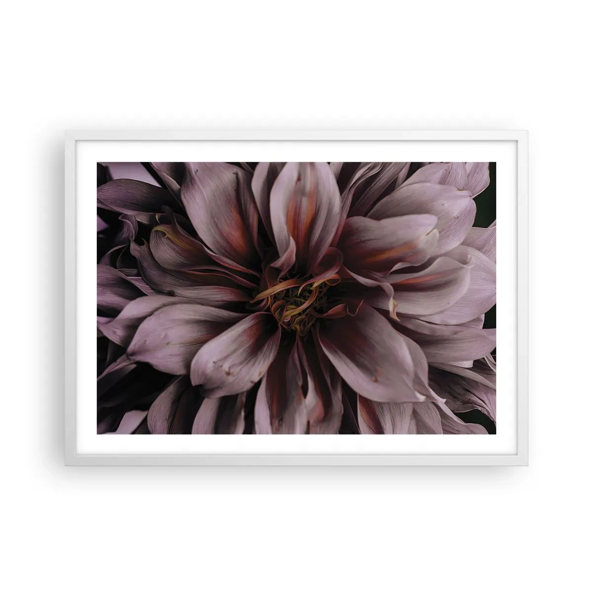 Poszter fekete keretben - Virágos szív - 70x50 cm