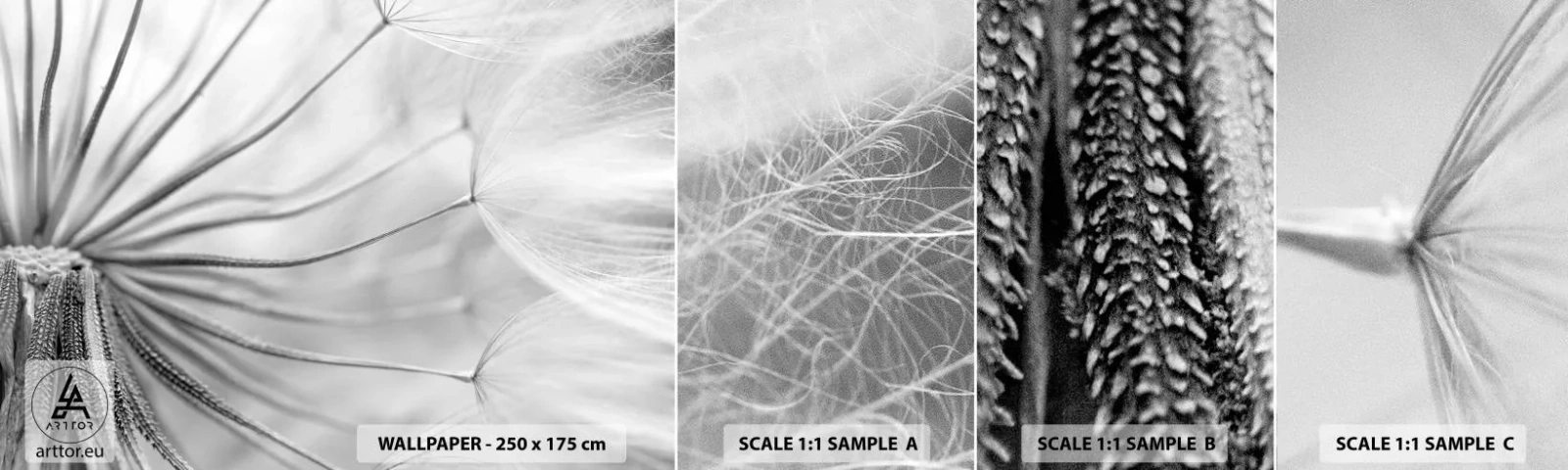 Fotótapéta Minta Standard Eco - Pitypang, papírsárkány - Minimalizmus, Törékeny, Virág - 100x30 cm