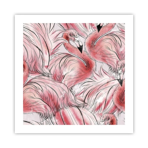 Poszter - Madári corps de ballet - 50x50 cm