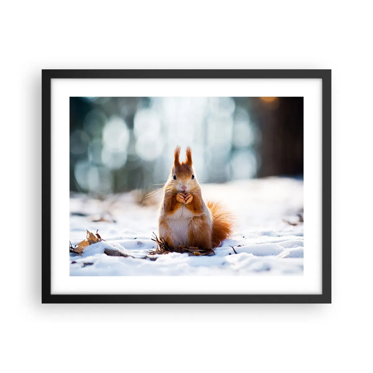 Poszter fehér keretben - Mit nézel? - 50x40 cm