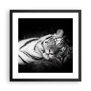 Poszter fehér keretben - Vadság és nyugalom - 40x40 cm