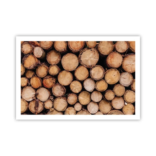 Poszter - Egy új kezdet - 91x61 cm