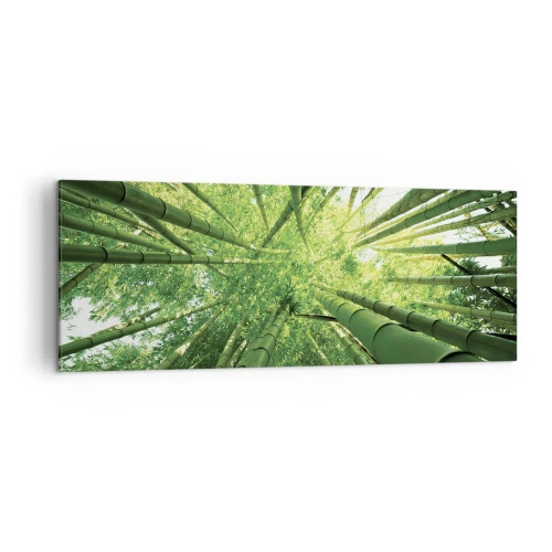 Vászonkép - Egy bambuszligetben - 140x50 cm