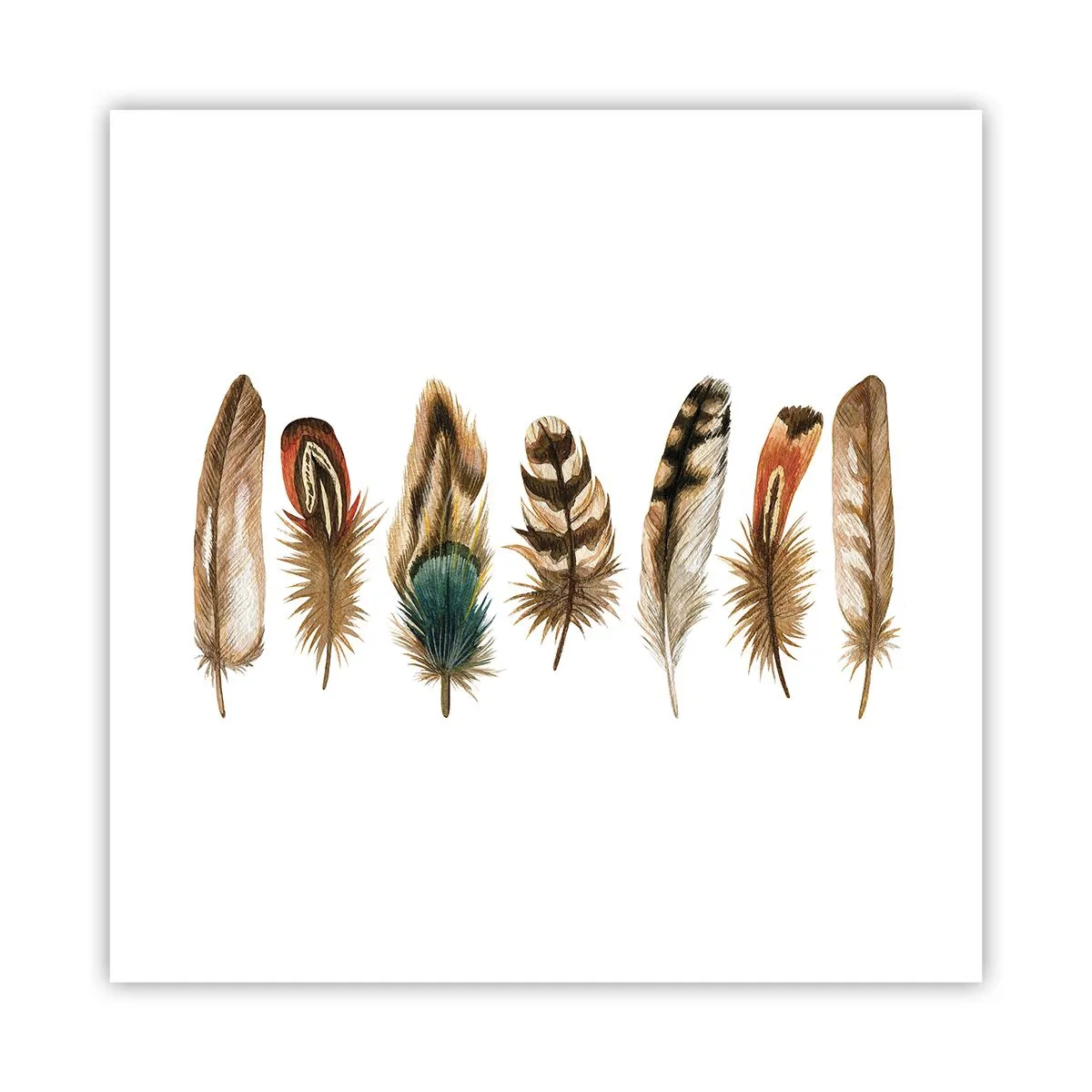 Poszter - Tollas variáció - 40x40 cm