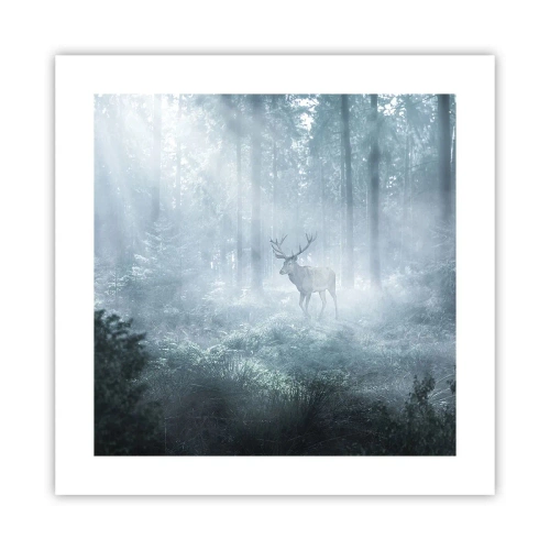 Poszter - Reggeli birtokellenőrzés - 40x40 cm