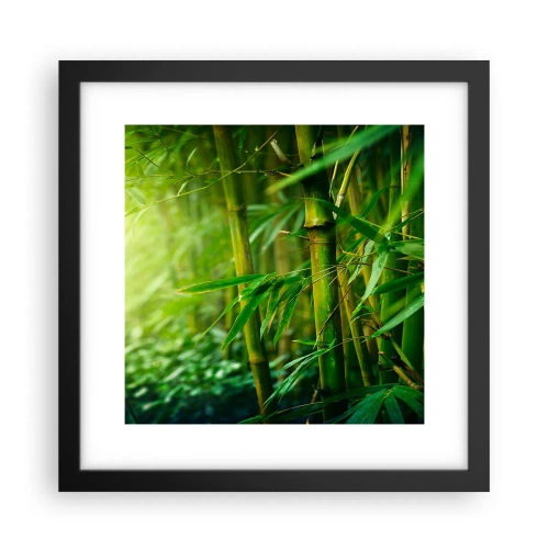 Poszter fehér keretben - Megismerni magát a zöldet - 30x30 cm