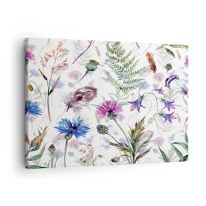 Vászonkép - Akvarell virágok és gyógynövények fehér alapon, herbáriumi stílusban - 70x50cm - Lengyel herbárium - Modern fali dekoráció nappalihoz és hálószobához ARTTOR