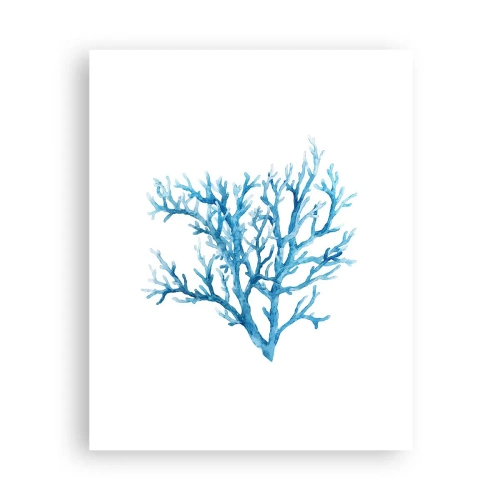 Poszter - Tengeri filigrán - 40x50 cm
