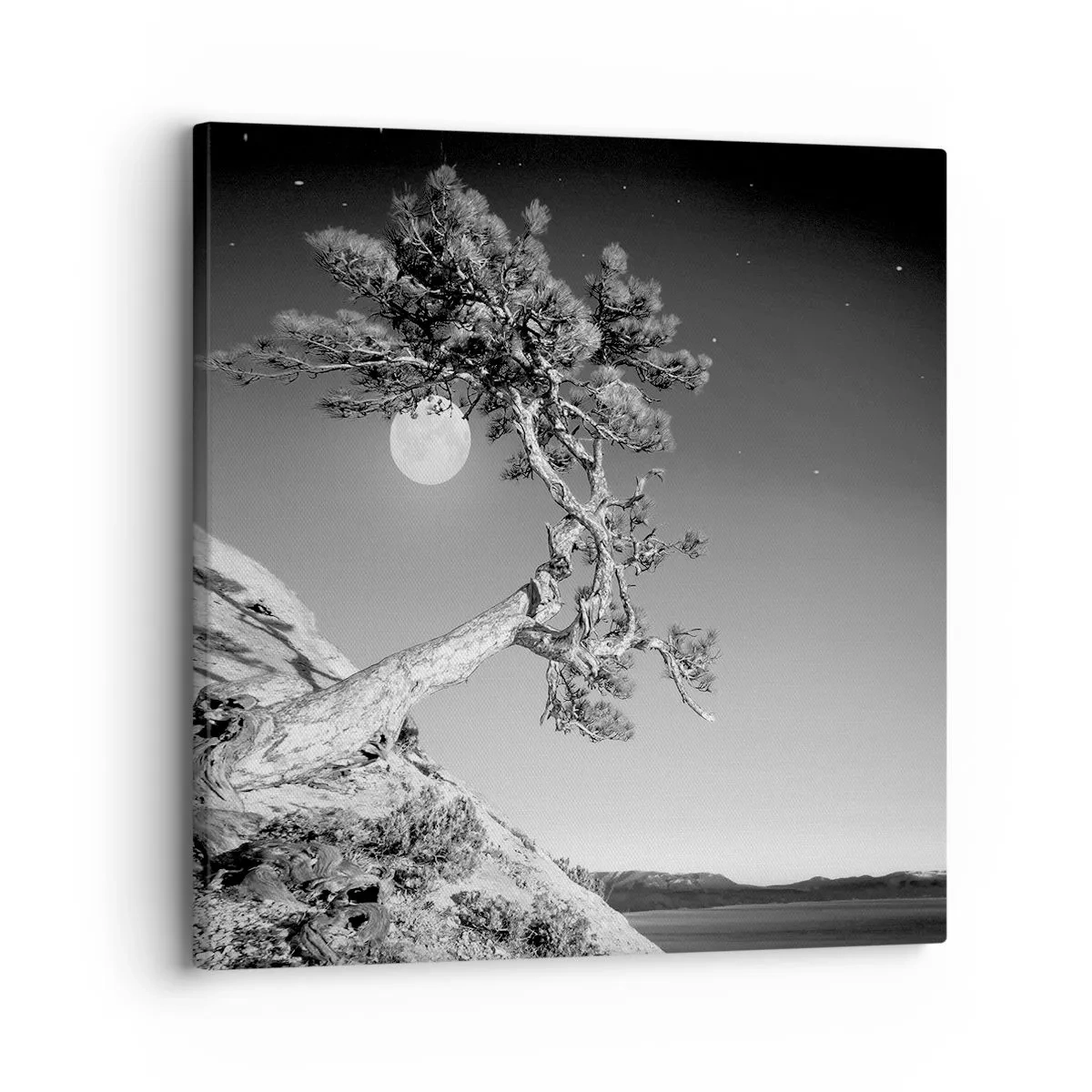 Vászonkép - Győztes harcos - 30x30 cm