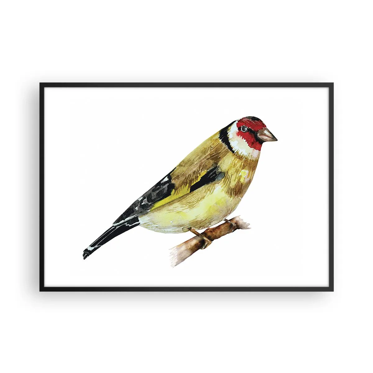 Poszter fehér keretben - Madárportré - 100x70 cm