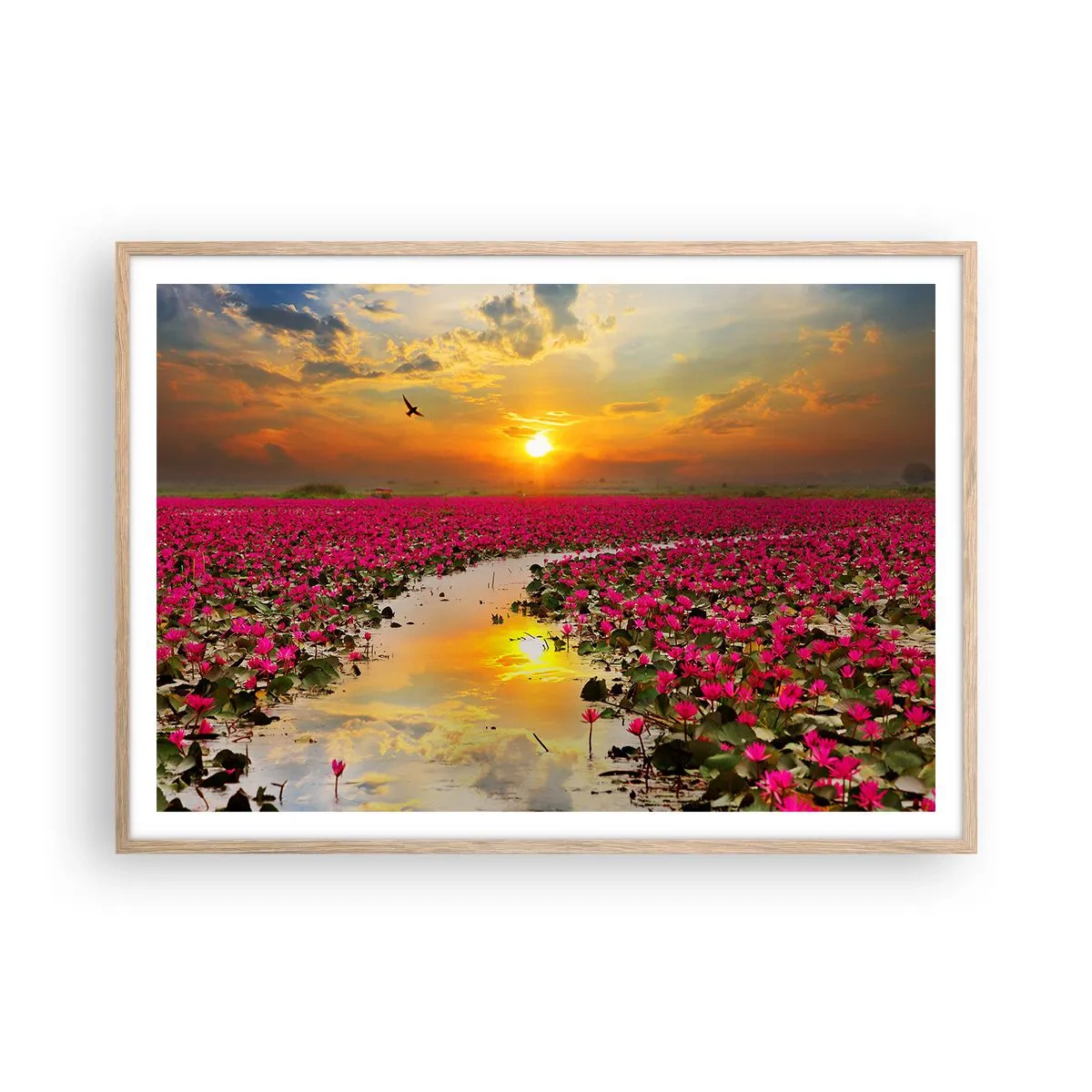 Poszter világos tölgy keretben - A tó titokzatos élete - 100x70 cm