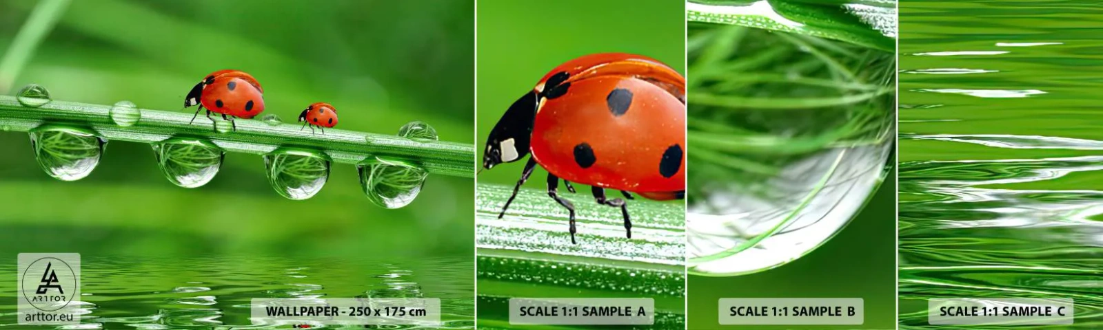 Fotótapéta Minta Öntapadós Deluxe Sticker - Egész nyáron az úton - Katicabogár, Egy csepp víz, Természet - 100x30 cm