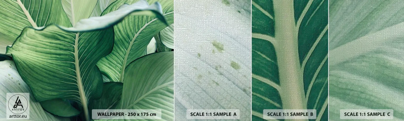 Fotótapéta Minta Premium Canvas - Intenzíven zöld élet - Levelek, Egzotikus, Növénytani - 100x30 cm