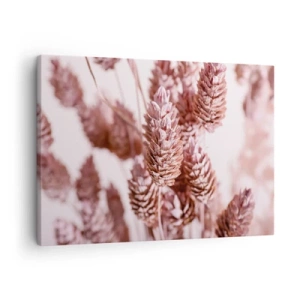 Vászonkép - Díszfűfélék finom rózsaszín füvei közeli képe - 70x50cm - Látszólag feltűnő - Modern fali dekoráció nappalihoz és hálószobához ARTTOR