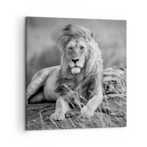 Vászonkép - Királyi szieszta - 50x50 cm