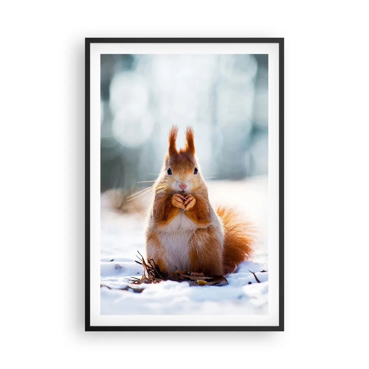 Poszter fehér keretben - Mit nézel? - 61x91 cm