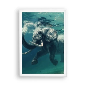 Poszter fekete keretben - Mindenki szeret úszni - 70x100 cm