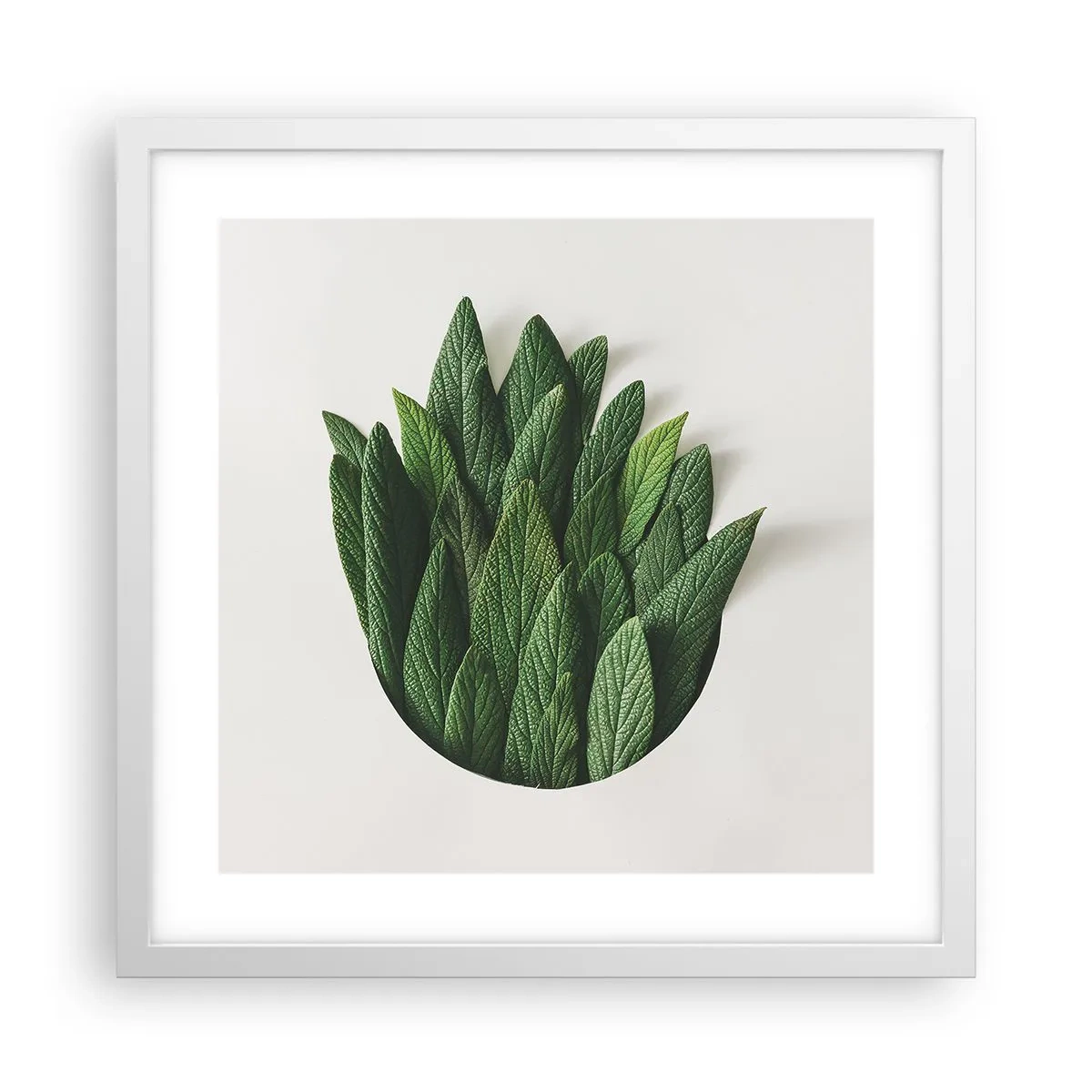 Poszter fekete keretben - Féktelen kíváncsiság - 40x40 cm