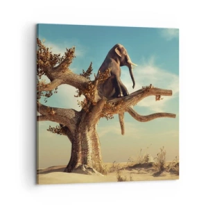 Vászonkép - Egy új nézőpont - 60x60 cm