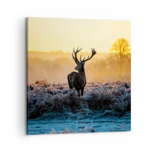 Vászonkép - Megkoronázott a birtokán - 60x60 cm