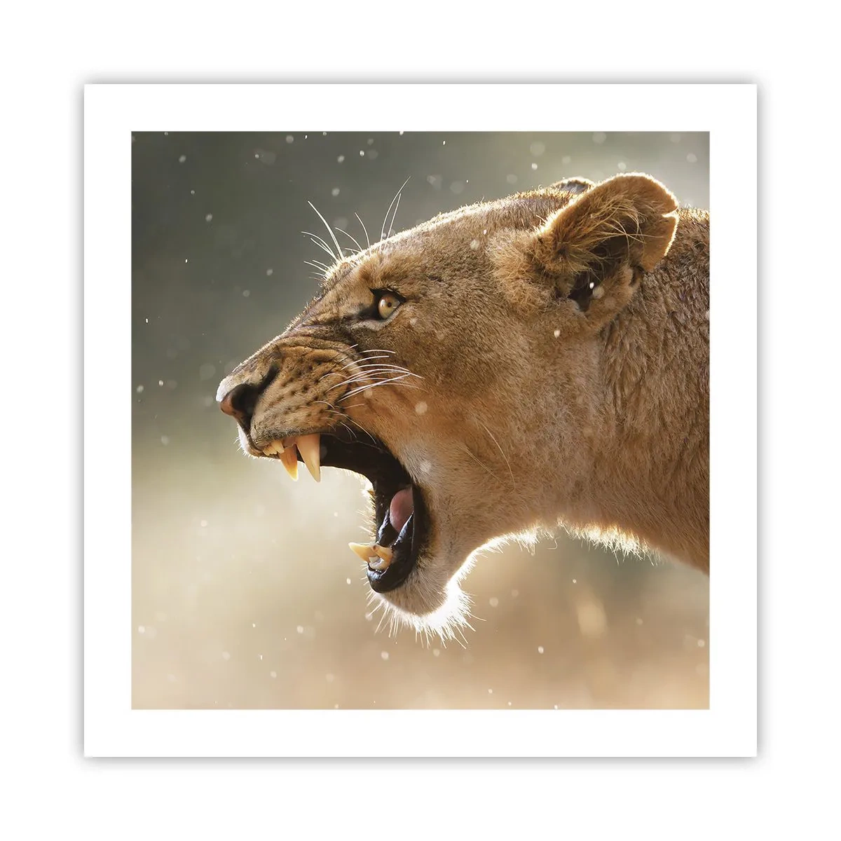 Poszter - Próbálj meg nem hallgatni - 50x50 cm