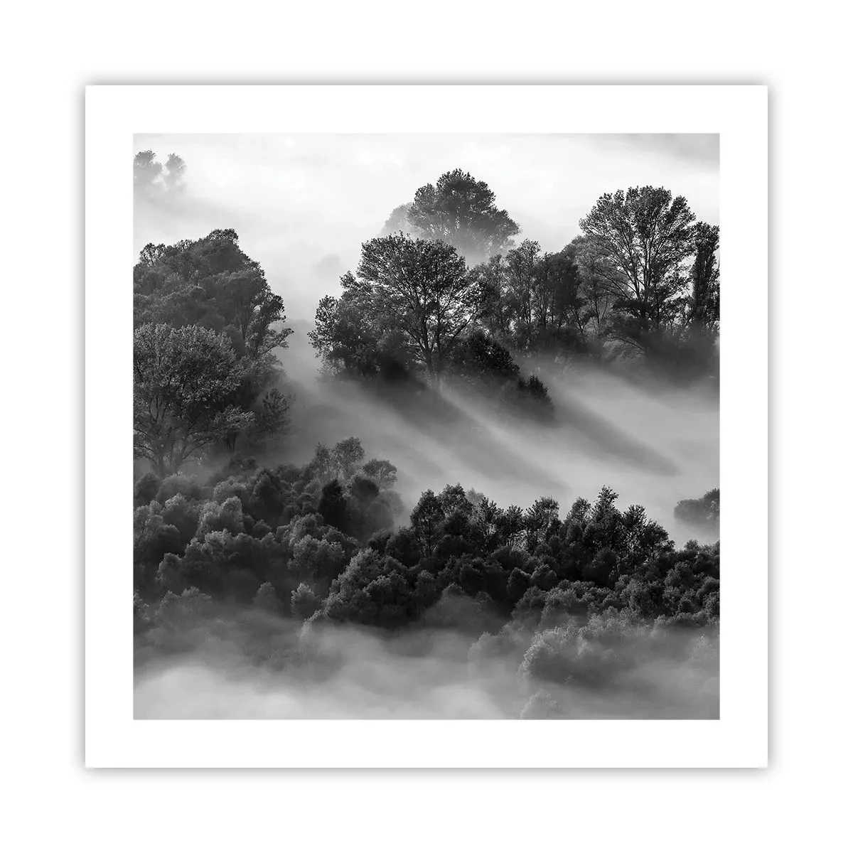 Poszter -  Az álomból felkelő - 50x50 cm