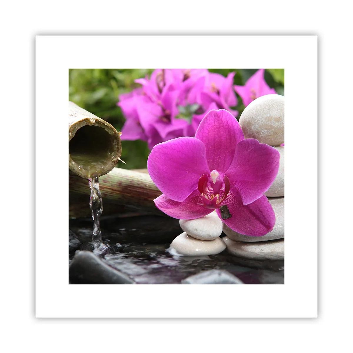 Poszter - Már pihensz - 30x30 cm