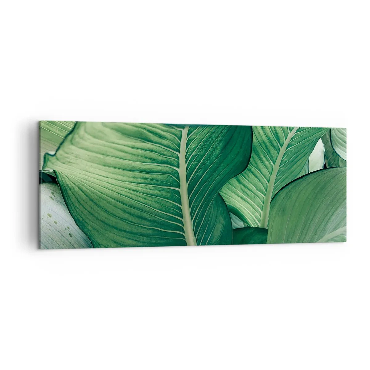 Vászonkép - Intenzíven zöld élet - 140x50 cm