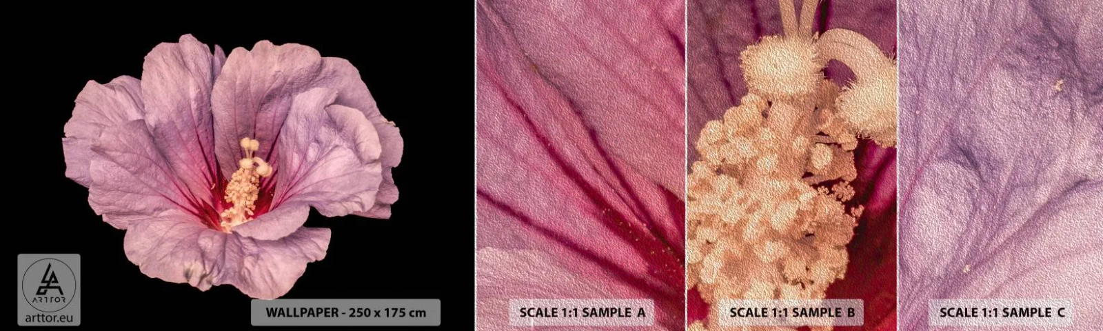 Fotótapéta Minta Premium Sand - Egyenesen a szív felé - Virág, Darab, Grafika - 100x30 cm