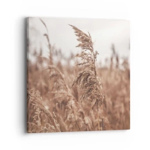 Vászonkép - Ősz van már a mezőkön - 40x40 cm