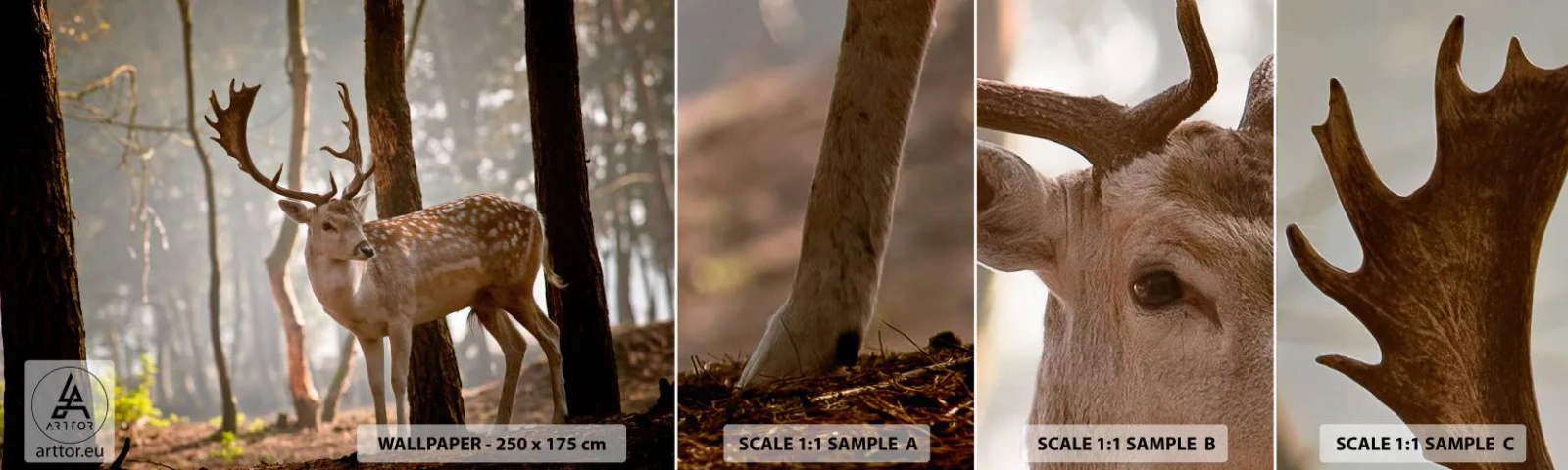 Fotótapéta Minta Standard Eco - A fiatalság fénye - Állatok, Szarvas, Erdő - 100x30 cm