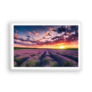 Poszter fekete keretben - Levendula világ - 91x61 cm