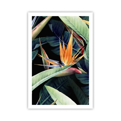 Poszter - A trópusok lángoló virágai - 61x91 cm