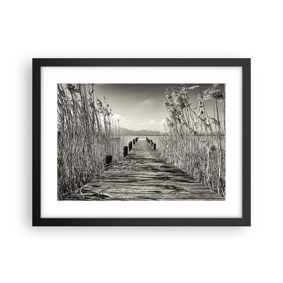 Poszter fehér keretben - A fű csendjében - 40x30 cm