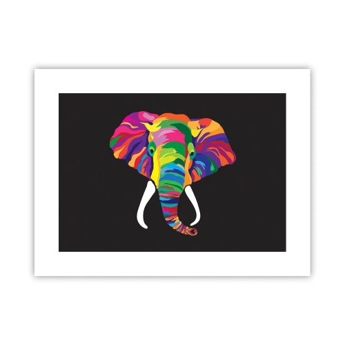 Poszter - Az elefánt, aki szeretett a szivárványban fürödni - 40x30 cm