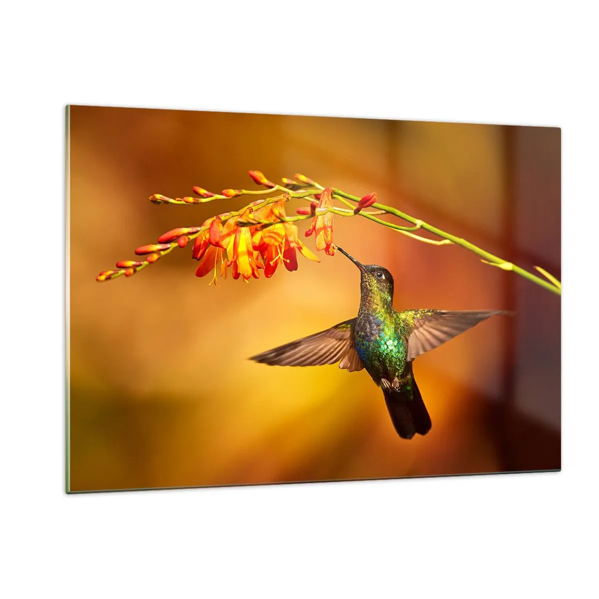 Üveg kép - A fény hírnöke a maják szerint - 120x80 cm