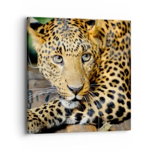 Vászonkép - Ne félj, gyere - 40x40 cm