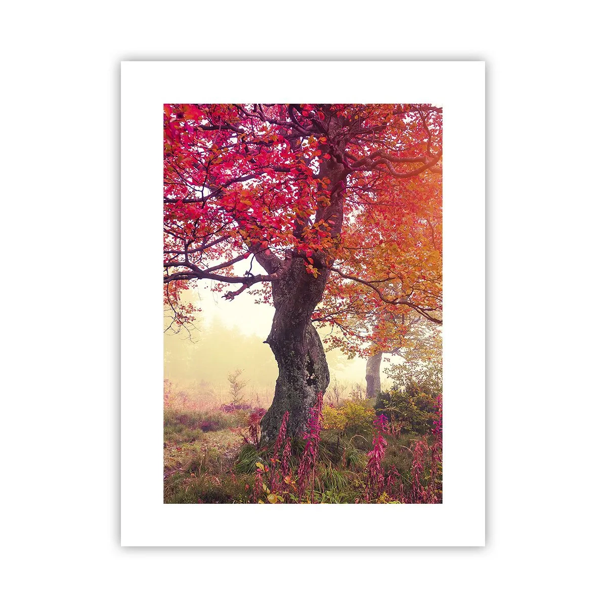 Poszter - Virágzás őrülete - 30x40 cm