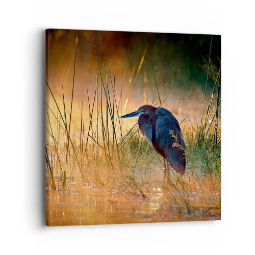 Vászonkép - Hagyjatok békén ezekkel a fotókkal - 40x40 cm