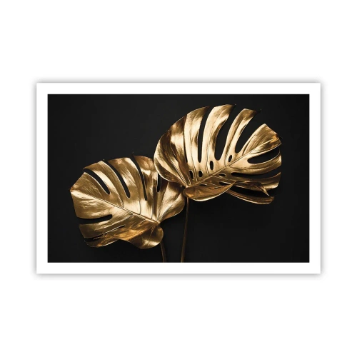 Poszter - A természet kincsei - 91x61 cm