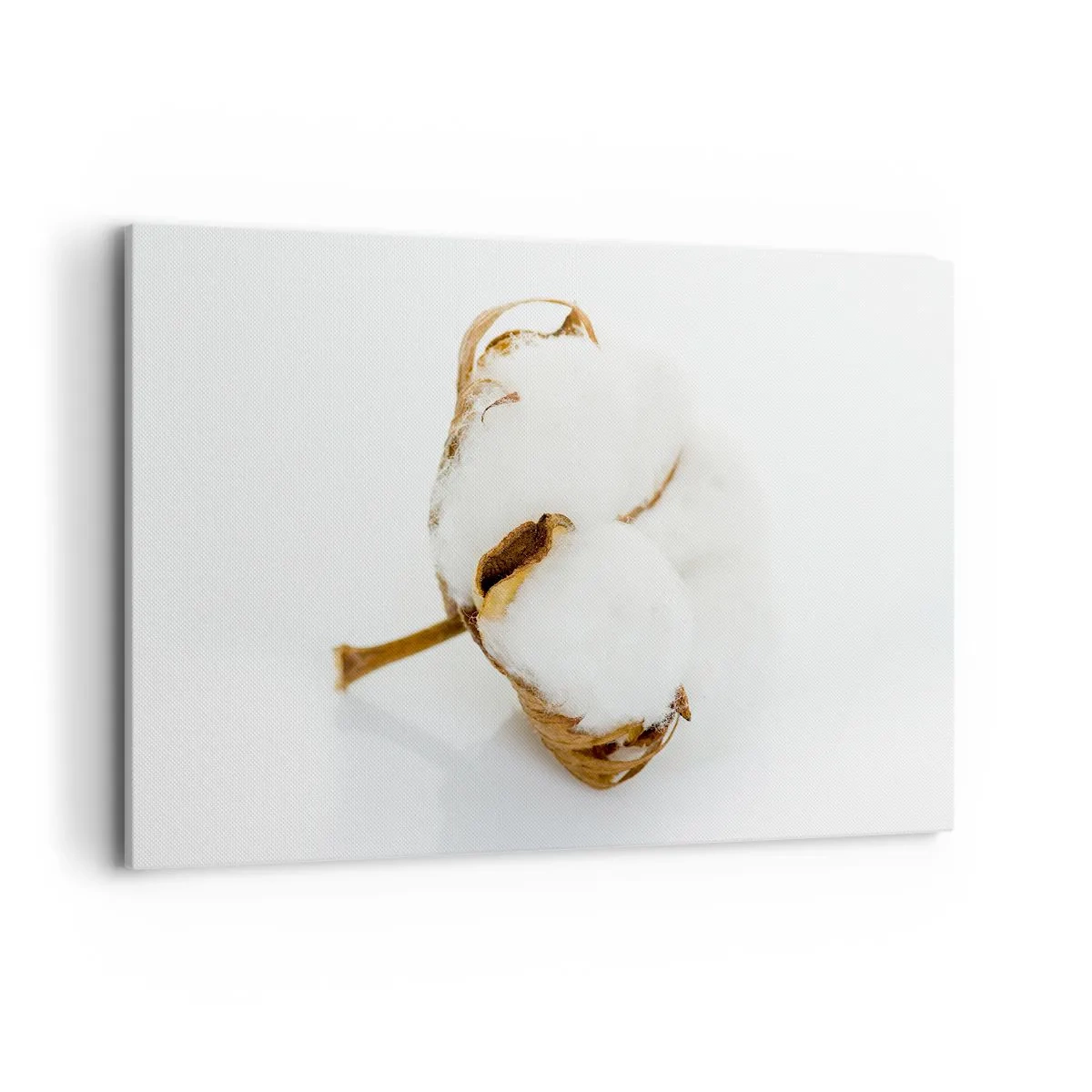 Vászonkép - Lágy természetű - 120x80 cm