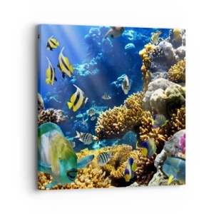 Vászonkép - Nagy forgalom a nyaraló ösvényen - 30x30 cm